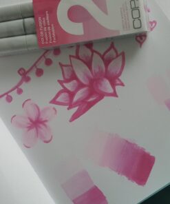 Copic Sketch, Alcohol-based Markers, 3pc Set, Color Fusion #2 Pink 13 61KYHXurJ6L