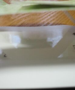 Harris Bed Bug Early Detection Glue Traps (4/Pack) 4 Traps 42 61KeyujYo L