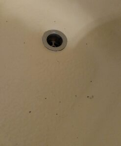 Capstar Fast-Acting Oral Flea Treatment for Dogs 21 61KhNmsutLL