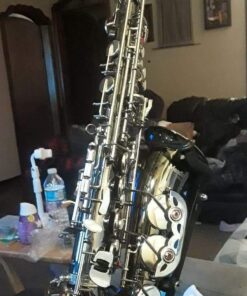 Mendini By Cecilio Eb Alto Saxophone - Case, Tuner, Mouthpiece, 10 Reeds, Pocketbook - Black & NickelE Flat Musical Instruments Black & Nickel 20 61KngLNclHL