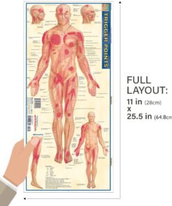 Trigger Points (Quick Study Academic) Pamphlet, Illustrated 16 61KpFRYBpL