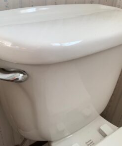 AMERICAN STANDARD 738772-0020A Champion Left-Hand Toilet Trip Lever, 2.50 x 1.00 x 9.00 inches, Chrome 24 61KxHuPeiNL
