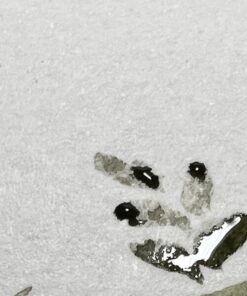 Strathmore 300 Series Watercolor Paper Pad, Tape Bound, 11x15 inches, 12 Sheets (140lb/300g) - Artist Paper for Adults and Students - Watercolors, Mixed Media, Markers and Art Journaling Tape Binding 17 61L5NHJ6q0L