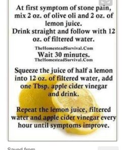 Herb Pharm Stone Breaker (Chanca Piedra) Compound Liquid for Urinary System Support - 1 Fl Oz 1 Fl Oz (Pack of 1) 28 61L6o4tZd6L