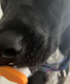 Arm & Hammer for Pets Fresh Breath Kit for Dogs | Contains Toothpaste, Toothbrush & Fingerbrush | Reduces Plaque & Tartar Buildup | Safe for Puppies, 3-Piece Kit, Chicken Flavor Dogs - Chicken Flavor 2.5 Oz (Pack of 1) 29 61LGcihYxlL