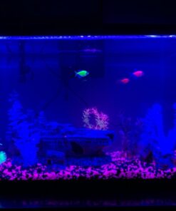 IP65, 12V Waterproof Flexible LED Strip Light(Power Cord not Included), 16.4ft/5m Cuttable LED Light Strips, 300 Units 3528 LEDs Lighting String, LED Tape(Blue) Power Adapter not Included 1*16.4ft 3528 Blue 35 61LRZSSL6PL