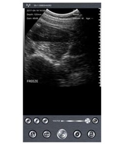 Wireless Wi-Fi Ultrasound Scanner, FMJI Veterinary Pregnancy Ecograph,3.5 Mhz/80 Element Convex Probe with Android 7" Tablet, Compatible iOS Smartphones, Tablet, for Pet&Large to Small Animals 8 61LVylV1THL