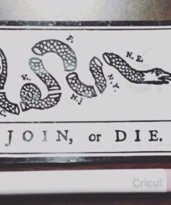 Vinyl Ease 30 Sheets 6" x 12" Assorted Colors Gloss Permanent Adhesive Vinyl for Cricut, Silhouette, Pazzles, Craft ROBO, QuicKutz, Craft Cutters, Die Cutters, Sign Plotters - V0001 50 61LXiSZFnXL