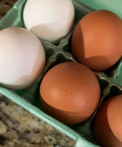 Manna Pro Crushed Oyster Shell Calcium Supplement For Laying Chickens - Poultry Treat - 5 lbs. 5 Pound (Pack of 1) 46 61Lb yFTqEL