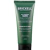 Brickell Men's Products Daily Strengthening Shampoo for Men, Natural and Organic Featuring Mint and Tea Tree Oil To Soothe Dry and Itchy Scalp, Sulfate Free and Paraben Free, 3.4 Ounce, Scented 3.40 Ounce (Pack of 1)