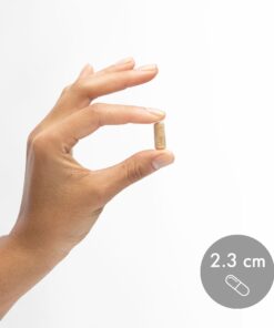 Dr. Mercola Complete Probiotics 70 Billion CFU, 30 Servings (30 Capsules), Dietary Supplement, Supports Digestive Health, Non GMO, NSF Certified 1 Count (Pack of 1) 17 61Lc 5vqxSL