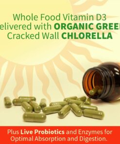 Garden of Life Vitamin D, Vitamin Code Raw D3, Vitamin D 5,000 IU, Raw Whole Food Vitamin D Supplements with Chlorella, Fruit, Veggies & Probiotics for Bone & Immune Health. 60 Vegetarian Capsules 22 61LeLcQz3RL