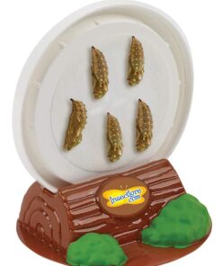 Butterfly Garden: Farm Habitat and Live Cup of Caterpillars – Life Science & STEM Education Butterfly Farm 32 61LenmZSuJL 1