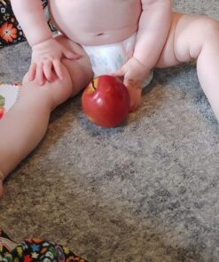 My First Touch and Feel Picture Cards: First Words (My First Board Books) 46 61LfW86AlpL