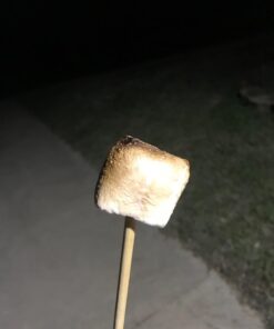 La Nouba Sugar-Free Marshmallows – 6 Bags – 2.7 oz. – Low Calorie, Low Carb, Fat-Free and Gluten Free Snack – Traditional Delicious Taste – All Natural and Healthy Marshmallows 31 61Lg gAAFTL