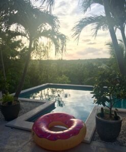 BigMouth Inc. Giant Pool Float Strawberry Frosted 41 61LqNPT6m6L