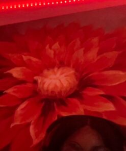 phopollo 65.6FT Led Lights for Bedroom, 5050 Color Changing Led Strip Lights with 44-Key Remote and 12v Power Supply, Led Lights Strip for Home Decoration. 35 61Ls 5I7YgL