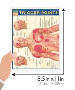 Trigger Points (Quick Study Academic) Pamphlet, Illustrated 15 61LsaQZXebL