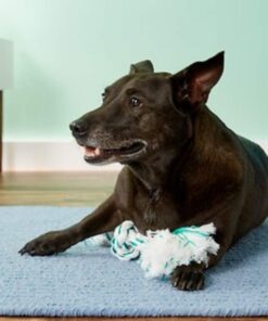 Booda Fresh N Floss 3 Knot Tug Rope Dog Toy, X-Large, Spearmint 22 61LubK80mhL