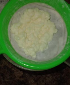Alternative view of Kefir Grains - Living Probiotic Enriched 1 TPS