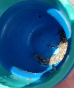 POOL BLASTER Water Tech Grit Gitter Manual Cordless Hot Tub and Spa Vacuum Cleaner for Spot Cleaning Sand and Dirt - Lightweight Handheld Design 17 61Lzsgs6PjL