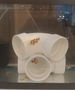 Kordon Rid Ich Plus #37656 - 16oz. 16 Ounce 13 61M ec CZSL