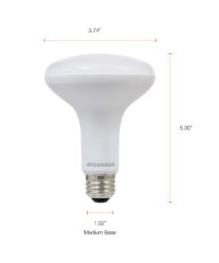SYLVANIA LED Flood BR30 Light Bulb, 65W=9W, 10 Year, Medium Base, 650 Lumens, Dimmable, 5000K, Daylight - 2 Pack (73956) 65w / Daylight 5000k 2 Count (Pack of 1) 24 61M2SgG1oTL
