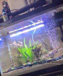 API LEAF ZONE Freshwater Aquarium Plant Fertilizer 18-Ounce Bottle White 16oz 40 61MCrtkoA6L 1