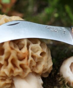 Opinel No. 08 Mushroom Knife – Pick + Clean Mushrooms, Beechwood Handle, Integrated Brush, Curved Sandvik Steel Blade, Made in France 24 61MDMOLk XL