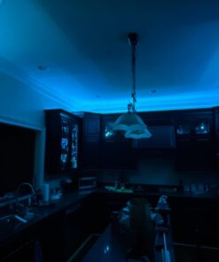 Tenmiro 65.6ft Led Strip Lights, Ultra Long RGB 5050 Color Changing LED Light Strips Kit with 44 Keys Ir Remote Led Lights for Bedroom, Kitchen, Home Decoration 58 61MFxGPlaL