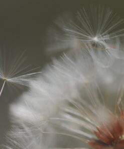 Nikon AF-S VR Micro-NIKKOR 105mm f/2.8G IF-ED Lens Lens Only 71 61MGPNPJGSL