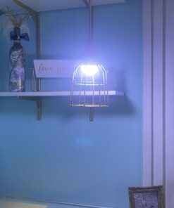 Newhouse Lighting WLG1B Ca Metal Guard for Ceiling Fan, Pendant String Light and Vintage Lamp Shades/Cover, Industrial Wire Fixture Iron Bird Cage, 1 Count (Pack of 1), Black 1 Count (Pack of 1) 27 61MGl4 7WmL