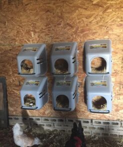 Little Giant® Plastic Chicken Nesting Box | Chicken Nest Box for Laying Hens | Chicken Bed | Egg Laying Chicken Box | Chicken Perch | Nesting Box for Chicken Coops 33 61MOk8P3aEL