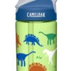 CamelBak Kids Eddy Water Bottle, 0.4 L Dinorama 4 61MSTBp1NaL