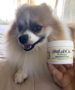 PetLab Co. ProBright Dental Powder for Dogs - Tailored Teeth Cleaning Made Easy – Formula Tailored for Small-Sized Dogs Small Dogs 24 61MWJClp4CL