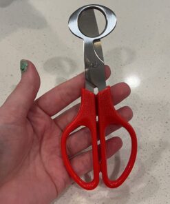 北正(Kitasho) AX-AY-ABHI-01280 Sekanananomasu Pucci (Uzura Egg Splitter), 全長135mm, orange 17 61MZ7PAimhL