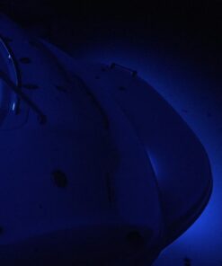 T-H Marine LED Underwater Boat Light - High-Intensity Surface Mount Waterproof Lighting - Use Above or Below Water - Multi-Purpose Use and Low Power Draw - Blue 17 61Mczcd4OKL