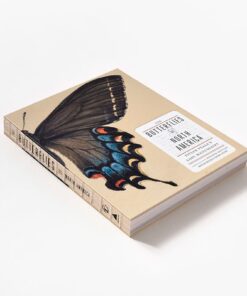 The Butterflies of North America: Titian Peale's Lost Manuscript 19 61MdJFSyc1L