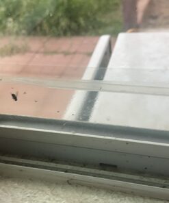 Window Fly Traps by Catchmaster - 48 Count, Ready to Use Indoors. Insect, Bugs, Fly & Fruit Fly Glue Adhesive Sticky Paper - Waterproof Easy Application Ready Disposable Non-Toxic 48 Traps 30 61MgB0PsFBL