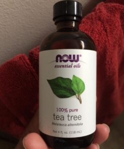 Now Foods: Tea Tree Oil, 4 oz 4.00 Fl Oz (Pack of 1) 19 61MpywvXvTL