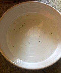 Trappify Sticky Gnat Traps for House Indoor - Yellow Fruit Fly Traps for Indoors/Outdoor Plant - Insect Catcher White Flies, Mosquitos, Fungus Gnat Trap, Flying Insects - Disposable Glue Trapper (12) 12 52 61MtskqEy3L