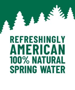 ORIGIN, 100% Natural Spring Water, 900 mL, Recycled Plastic Bottle, 12 Pack Unflavored-12 Pack 30.4 Fl Oz (Pack of 12) 29 61Mvf7I7JL