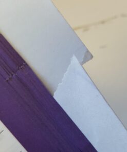 2016 ICD-10-PCs: The Complete Official Draft Code Set Paperback 6 61Mx Dx4VbL