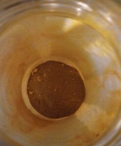 FGO Organic Turmeric Powder w/Curcumin, 100% Raw from India, 16oz, Packaging May Vary (Pack of 1) 1 Pound (Pack of 1) 27 61My1Gyi7QL