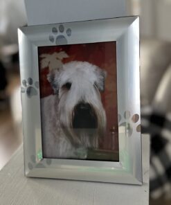 Skyway Puppy Dog Paw Print Pet Photo Picture Frame Silver - 5 x 7 17 61N0F8yprZL