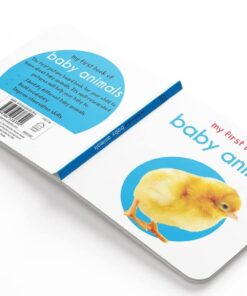 My First Library : Boxset of 10 Board Books for Kids (My First Book of) Board book 42 61N26tw3hgL