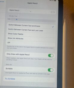 Apple Pencil (2nd Generation): Pixel-Perfect Precision and Industry-Leading Low Latency, Perfect for Note-Taking, Drawing, and Signing documents. Attaches, Charges, and Pairs magnetically. Pencil (2nd generation) 30 61N4MSNyLJL