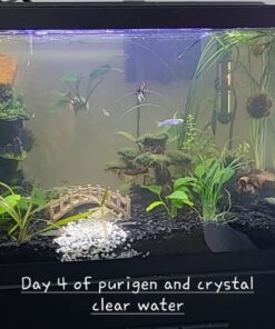 Seachem Indoor Purigen Organic Filtration Resin - Fresh and Saltwater 100 ml 38 61N78bMPK1L