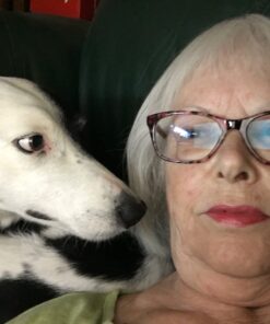 ProDen PlaqueOff Dental Bones Chicken & Pumpkin 17 Ounce 17 Ounce (Pack of 1) 11 61NAxiybrsL