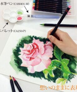 Akashiya CA200/20V Sai Watercolor Brush Pen - 20 Color Set (1, DESIGN 1) 44 61NEeNKixKL